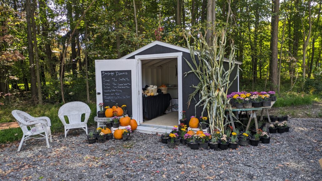 Tuff Shed farm stand at harvest time